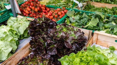 Salad from the Basel city market.