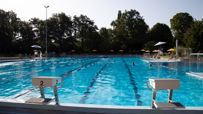 Schwimmbad im Freien mit Bäumen im Hintergrund.