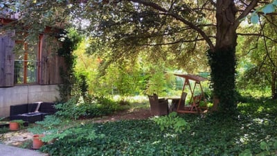 Garten mit Gartenmöbeln unter einem grossen Baum.