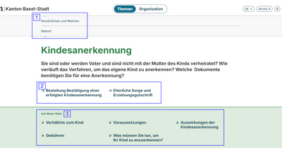 Webseite mit Informationen zur Kindesanerkennung und zugehörigen Bestellungen in Basel-Stadt.