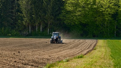 Traktor pflügt Feld vor Wald.