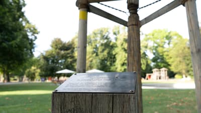 Holzstruktur um Baum und Baumspende-Schild im Park.