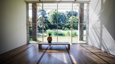 View of the pond from the Fondation Beyeler.