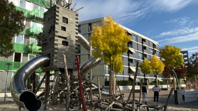 Holzspielplatz mit Rutsche und Wohngebäude im Hintergrund.
