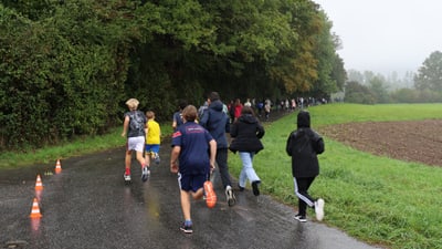 Gruppe von Menschen rennt auf nassem Weg neben grüner Wiese und Bäumen.