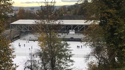 Im Vordergrund ein Baum, dahinter sind die drei Eisfelder der Kunsteisbahn sichtbar, einige Menschen sind am Eislaufen.