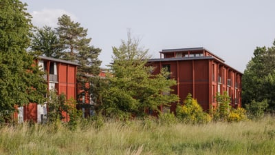 Rote Wohngebäude hinter Bäumen und hohem Gras.