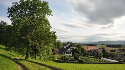 Landschaft mit Baum und Häusern im Hintergrund.