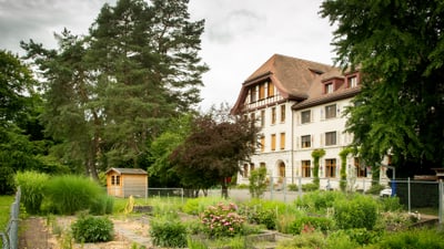 Garten vor einem grossen Gebäude mit Bäumen im Hintergrund.