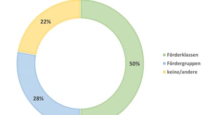 Kreisdiagramm der Förderklassen, Fördergruppen und keine/andere.