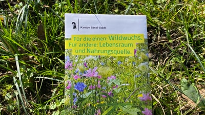 Samenpackung auf einer grünen Wiese.