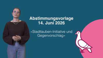 Screenshot aus dem Video mit dem Text: Abstimmungsvorlage 14. Juni 2026 "Stadttauben-Initiative und Gegenvorschlag""