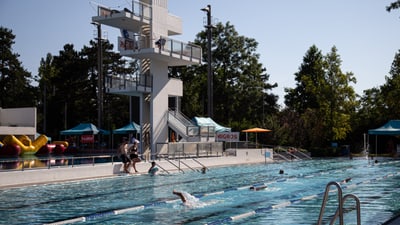 Schwimmbad mit Tauchplattform und Schwimmern.