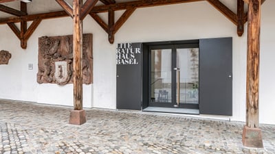 Eingang zum Literaturhaus Basel mit Kunstwerk an der Wand.