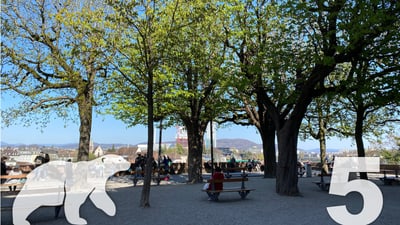 Park mit Bäumen, Bänken und Stadtblick.