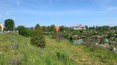 Blick aus dem Freizeitgartenareal Milchsuppe auf die Hangkante.