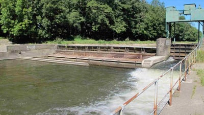 Kleiner Staudamm im Fluss mit grünem Bereich dahinter.