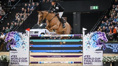 A show jumper on his horse. They are jumping over a hurdle.