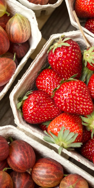 Körbe mit Erdbeeren und Stachelbeeren.