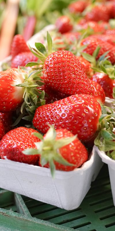 Erdbeeren vom Basler Stadtmarkt