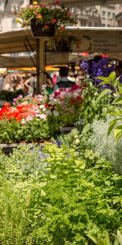 Marktszene mit Blumen und Pflanzen im Vordergrund, Menschen im Hintergrund."  