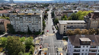Luftaufnahme einer Stadtstrasse mit Gebäuden und Bäumen am Strassenrand.