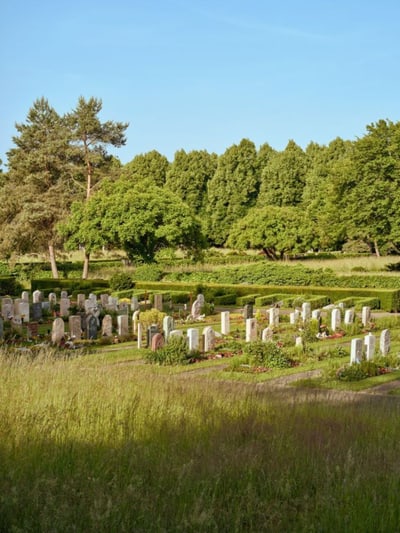 Friedhof mit Grabsteinen umgeben von Bäumen.