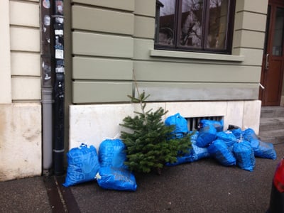 Kleiner Weihnachtsbaum neben blauen Müllsäcken auf Trottoir vor Gebäude.