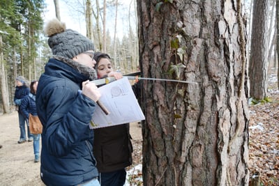 Wald Schule 2