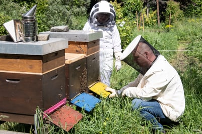 Imker in Schutzkleidung bei Bienenstöcken im Garten.