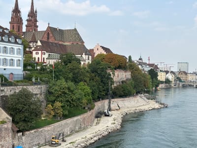 Blick auf das Rheinufer mit historischen Gebäuden und Bäumen.