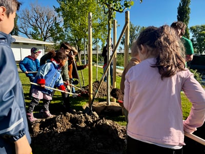 Kinder pflanzen Baum bei Grünanlage Birskopf gemeinsam.