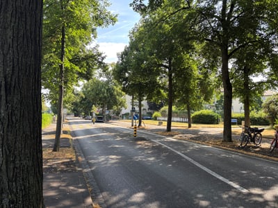 Baumgesäumte Strasse mit Radfahrern bei sonnigem Wetter.