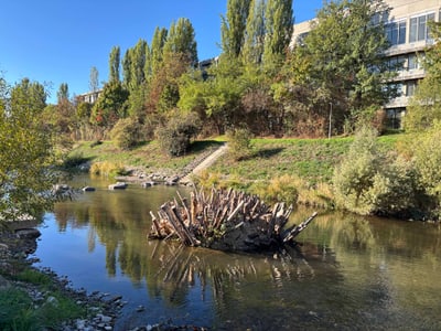 Flusslandschaft mit Bäumen und Gebäude im Hintergrund.