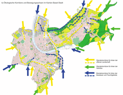 Ökologische Karte der Korridore und Bewegungsachsen in Kanton Basel-Stadt.