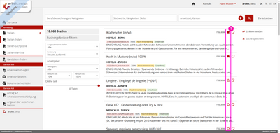 Webseite mit Stellenanzeigen und Filteroptionen auf jobsuche Plattform.