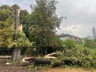 220720_MM_Heftiges Gewitter verwüstet die Stadt_Bild1_Schwarzpark