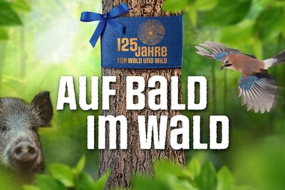 125 Jahr Amt für Wald beider Basel