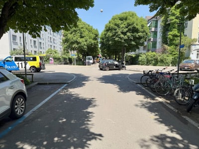 Strasse mit parkenden Autos und Fahrrädern, Bäume im Hintergrund.