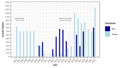 Balkendiagramm Anzahl Nasen pro Jahr für Birs und Wiese bis 2025.
