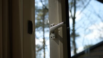 Offenes Fenster mit Blick auf Bäume im Hintergrund.