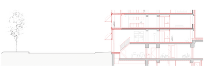 Architekturquerschnitt mit Baum links, mehrstöckiges Gebäude rechts.