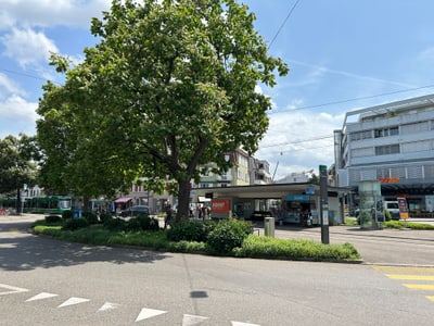 Stadtplatz mit Baum und Geschäften an sonnigem Tag.