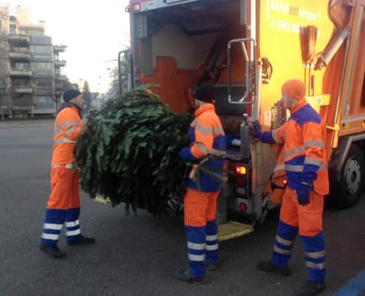 Weihnachtsbaum entsorgen_