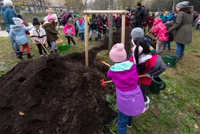 Kannenfeldpark Baumpflanzung Fotograf Lukas Gysin