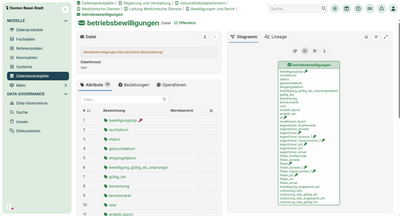 Bildschirmansicht einer Datenbank mit Diagramm und Attributdetails.
