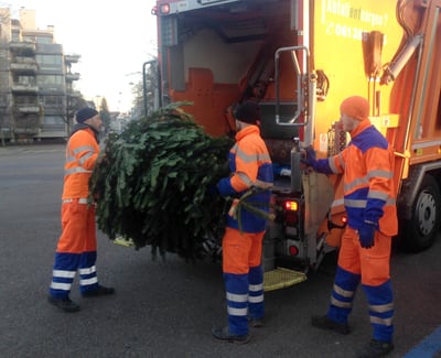 Entsorgung Weihnachtsbaum