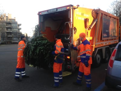 161221_Entsorgung Weihnachtsbaum