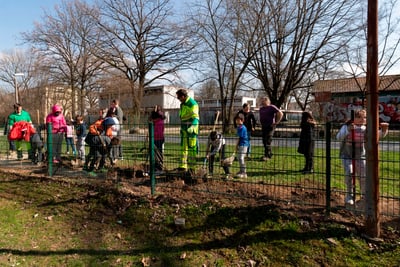 Pflanzung Wildsträucherhecke Bachgrabenpromenade